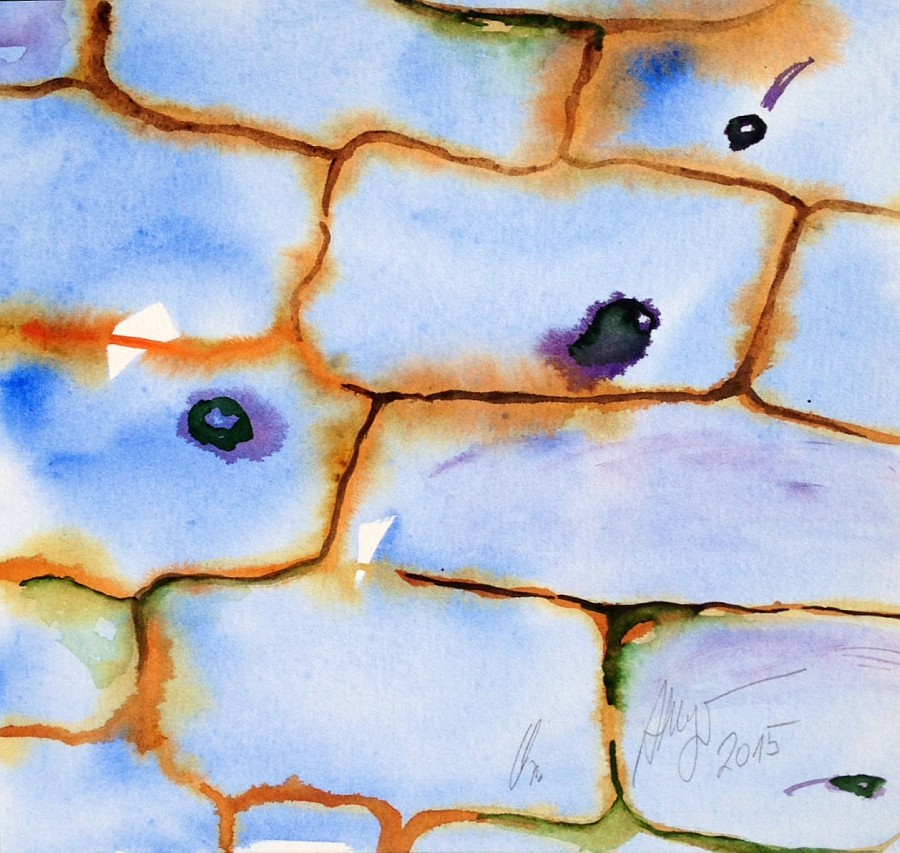 Jerrez - Costa de la Luz